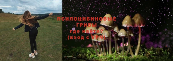 мескалин Алексин