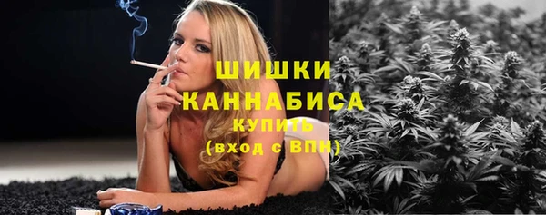 индика Переславль-Залесский