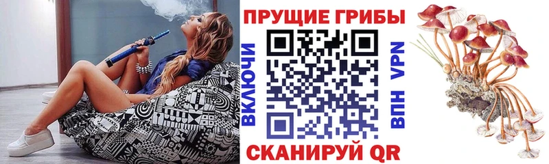 Псилоцибиновые грибы GOLDEN TEACHER Нижние Серги