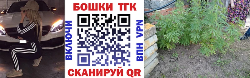 Шишки марихуана планчик  Нижние Серги 